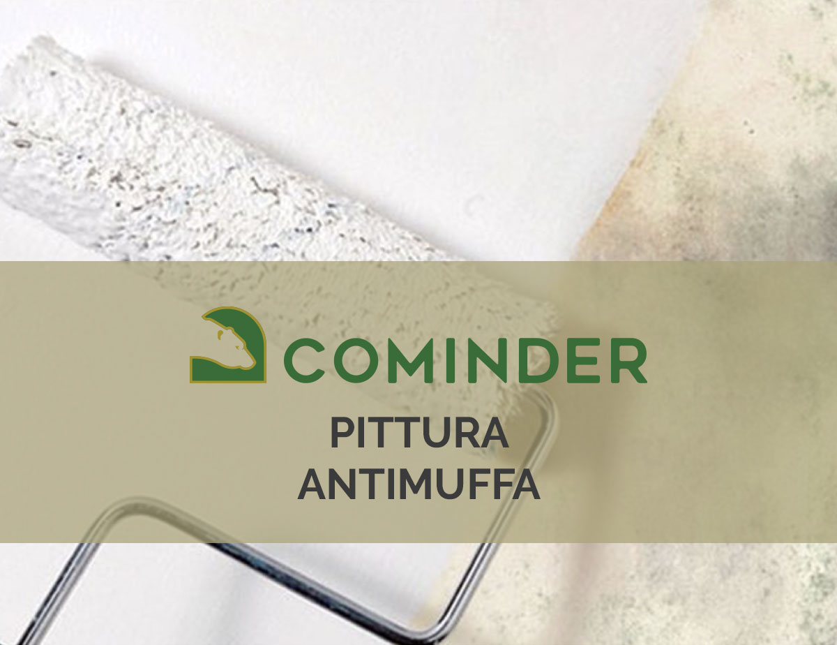 Pittura antimuffa, la soluzione proposta da Cominder