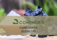 Carbonato di calcio
