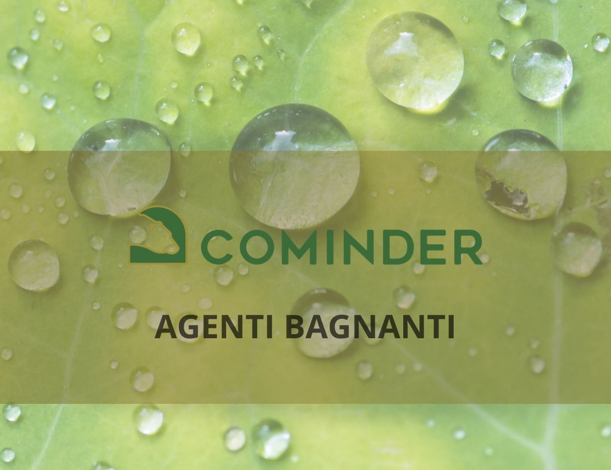 Agenti bagnanti: che cosa sono e a che cosa servono