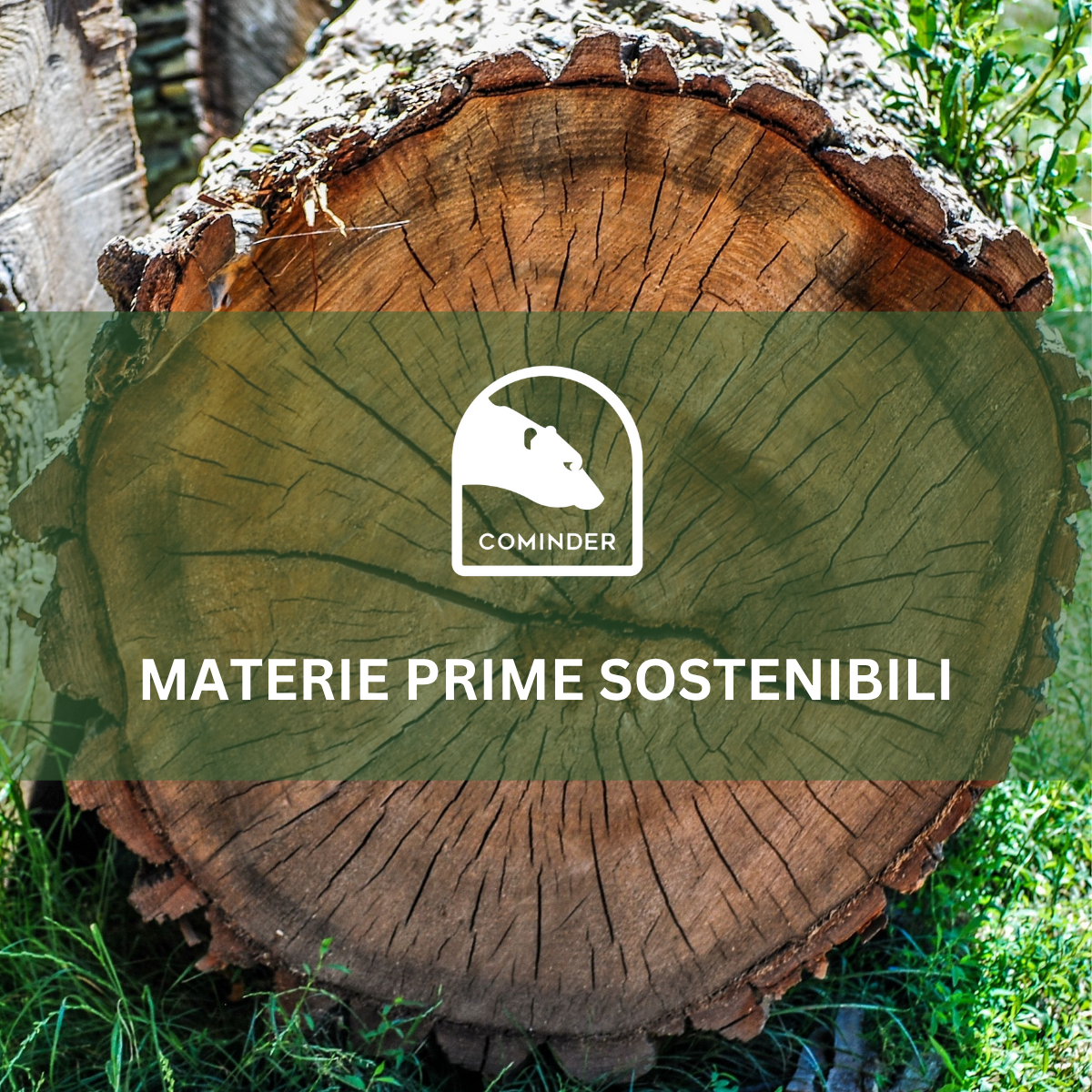 Materie prime sostenibili: come sta cambiando l’industria dei materiali