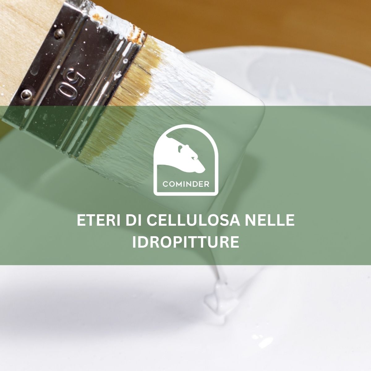 Eteri di cellulosa nelle idropitture: scegliere HEC, HPMC e HEMC per reologia e applicazione